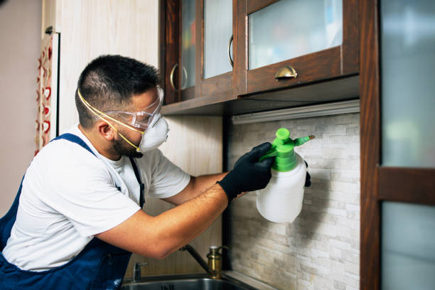Best Pest Removal Services  in Payson, IL