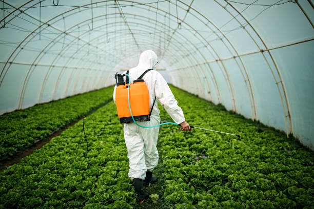 Best Affordable Pest Control Services  in Payson, IL