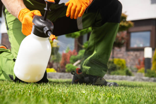 Best Local Pest Control Services  in Payson, IL