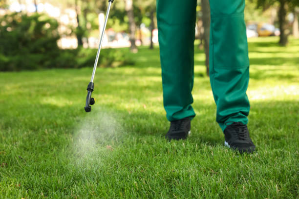 Best Residential Pest Control  in Payson, IL