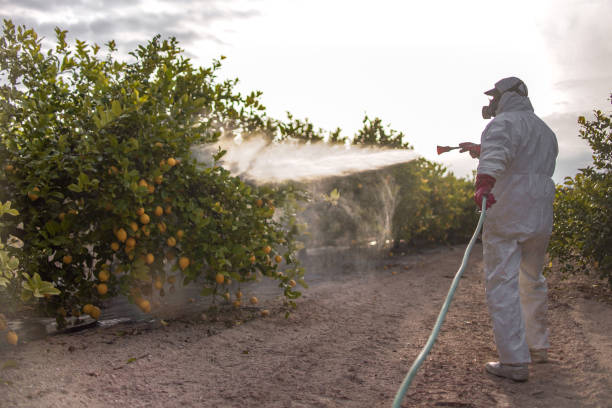Professional Pest Control in Payson, IL