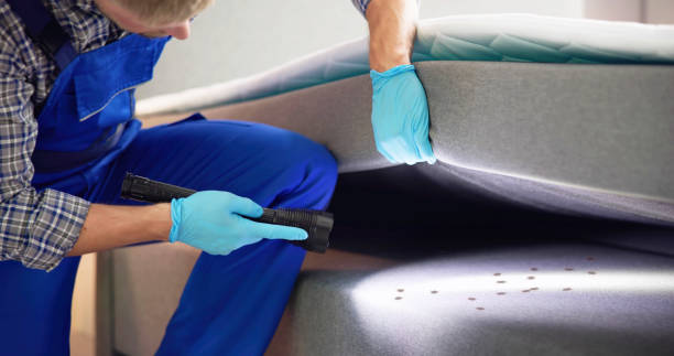 Best Spider Control Near Me  in Payson, IL