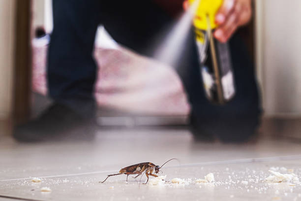 Pest Control for Restaurants in Payson, IL