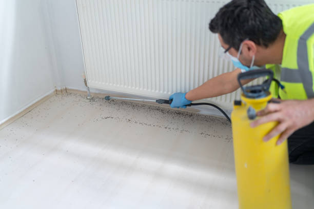 Best Affordable Pest Control Services  in Payson, IL
