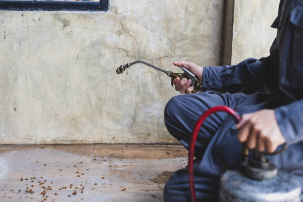 Best Emergency Pest Control  in Payson, IL