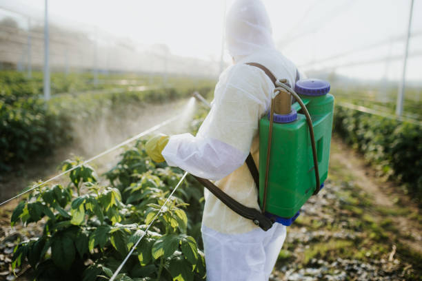 Reliable Payson, IL Pest Control Solutions